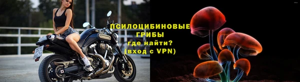 прущая мука Гусев