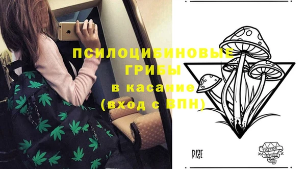 2c-b Горнозаводск