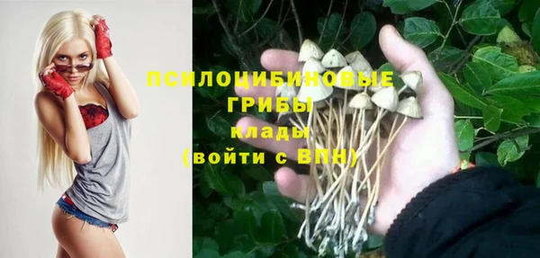 МДМА Горняк